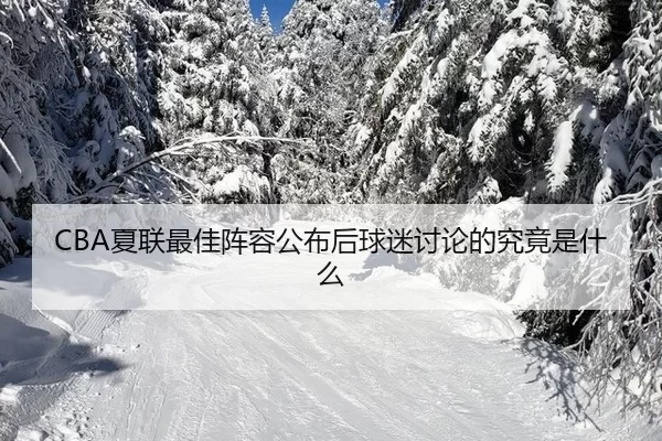 xia-lian-zui-jia-zhen-rong-gong-bu-hou-qiu-mi-tao-lun-de-jiu-jing-shi-shen-me-2-858.jpg
